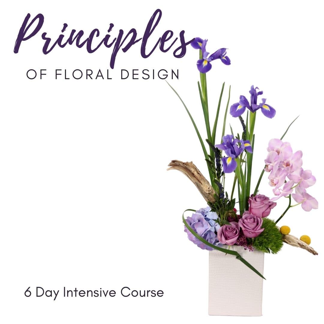 Principles-of-Design Principles-of-Design