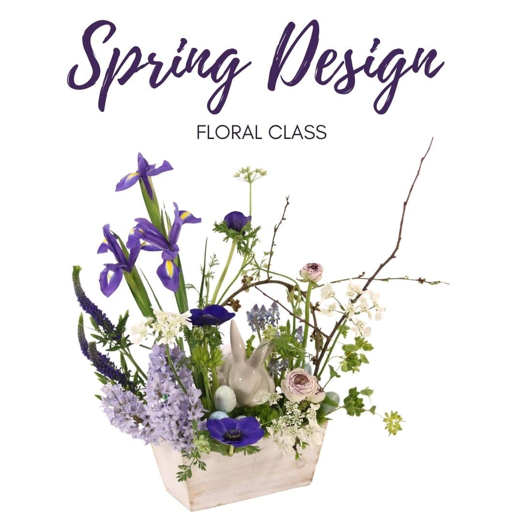 Spring-Design-Class Spring-Design-Class