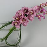 20160206 163036 RichtoneHDR