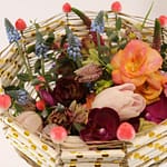 IMG 7090 e1556910867452