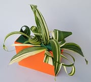 Foliage manipulation