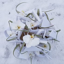 Orchid Flower Design