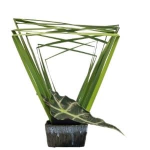 Framing Technique