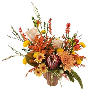 November-flower-class November-flower-class