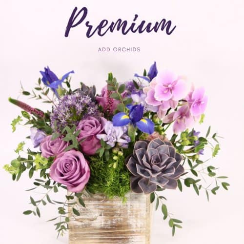 MomsFavoritePremium