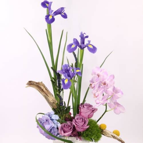 Spring.Modern