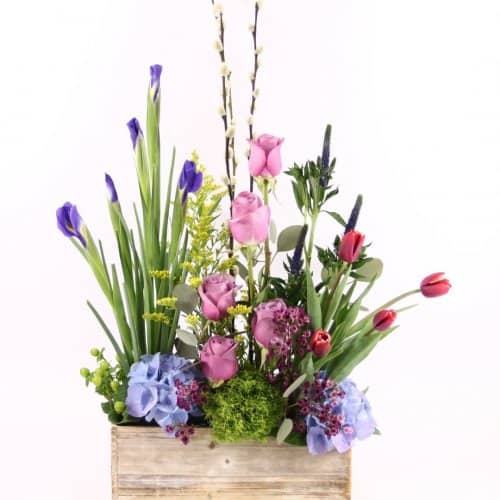 SpringDesign2